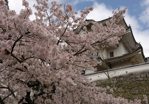 ����Ȏʐ^�ڂ�������ăC�C�̂��ȁH�H