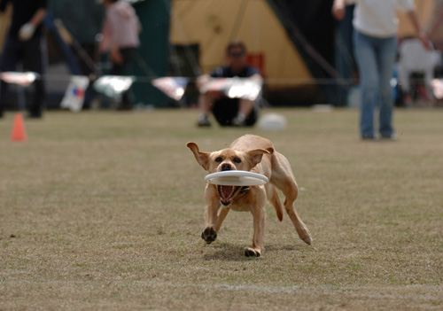 ����Ȏʐ^�ڂ�������ăC�C�̂��ȁH�H