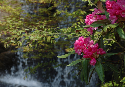 ����Ȏʐ^�ڂ�������ăC�C�̂��ȁH�H