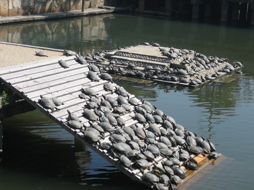 ����Ȃ��ƁE����Ȃ���