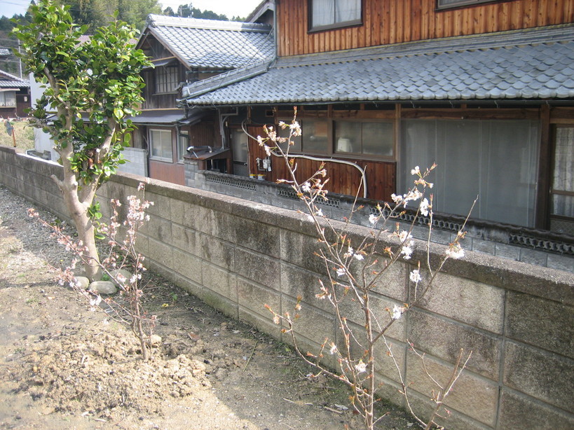 ����Ȃ��ƁE����Ȃ���