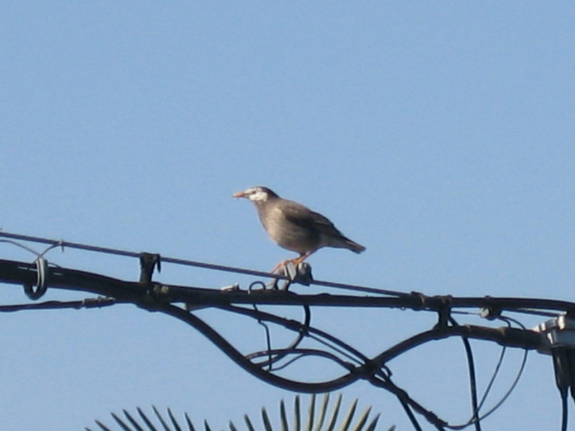 ����Ȃ��ƁE����Ȃ���