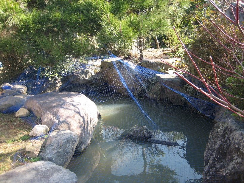 ����Ȃ��ƁE����Ȃ���