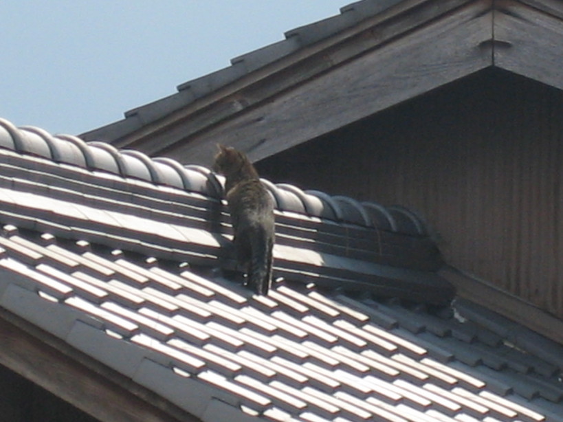 ����Ȃ��ƁE����Ȃ���