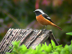 ����Ȃ��ƁE����Ȃ���