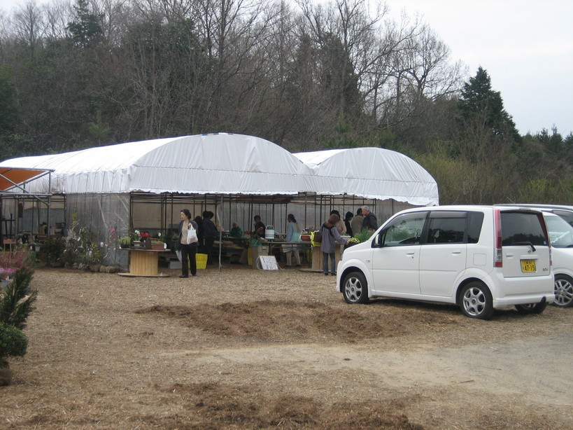 ����Ȃ��ƁE����Ȃ���