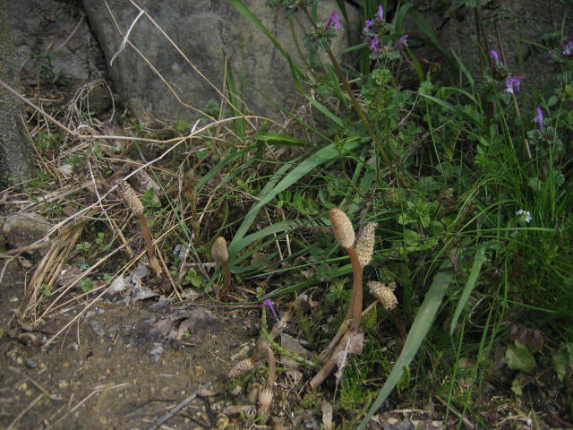 ����Ȃ��ƁE����Ȃ���