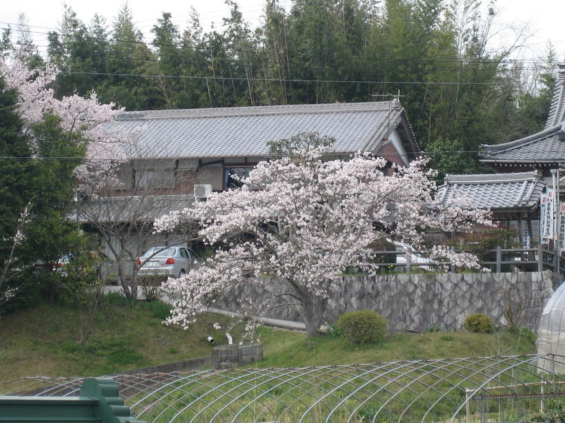 ����Ȃ��ƁE����Ȃ���