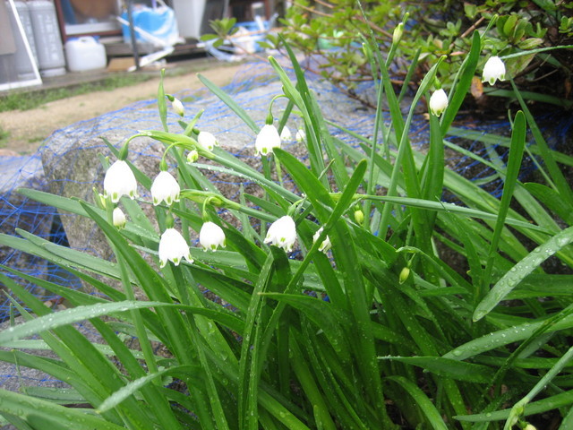 ����Ȃ��ƁE����Ȃ���