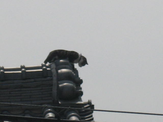 ����Ȃ��ƁE����Ȃ���