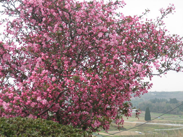 ����Ȃ��ƁE����Ȃ���