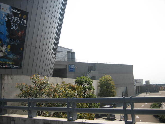 ����Ȃ��ƁE����Ȃ���