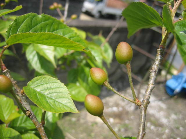 ����Ȃ��ƁE����Ȃ���