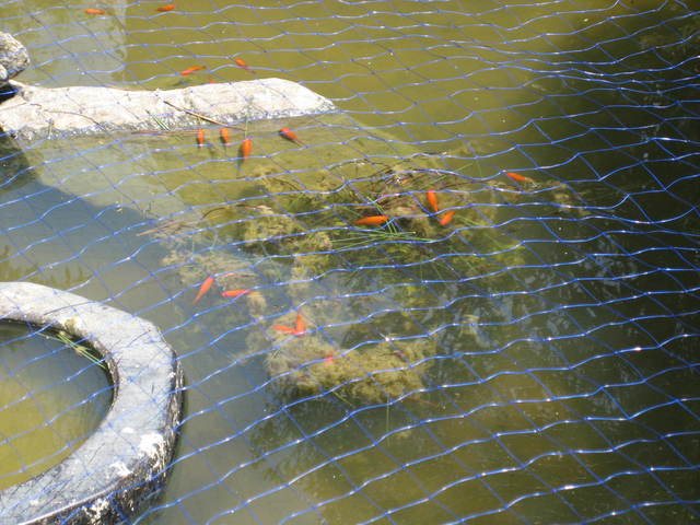 ����Ȃ��ƁE����Ȃ���