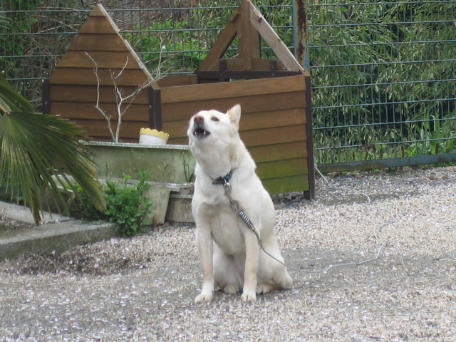 ����Ȃ��ƁE����Ȃ���