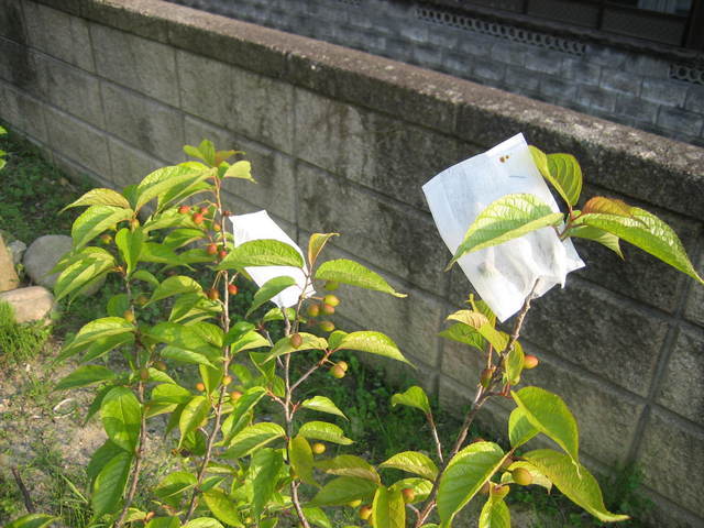 ����Ȃ��ƁE����Ȃ���