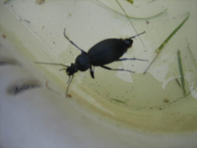 ����Ȃ��ƁE����Ȃ���