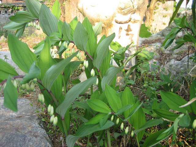 ����Ȃ��ƁE����Ȃ���