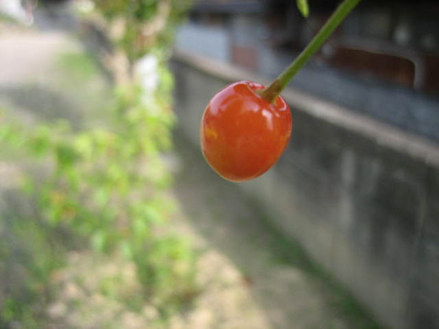 ����Ȃ��ƁE����Ȃ���