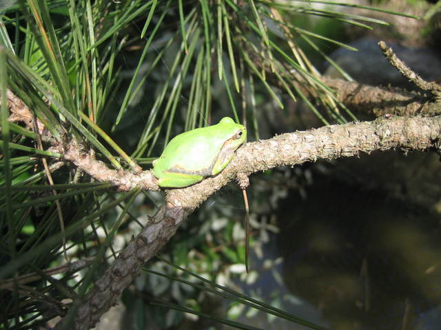 ����Ȃ��ƁE����Ȃ���