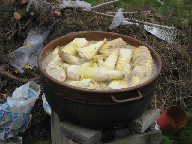 ����Ȃ��ƁE����Ȃ���