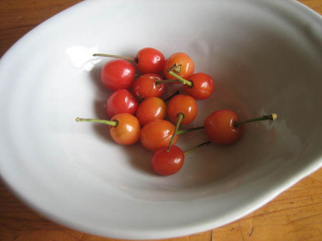 ����Ȃ��ƁE����Ȃ���