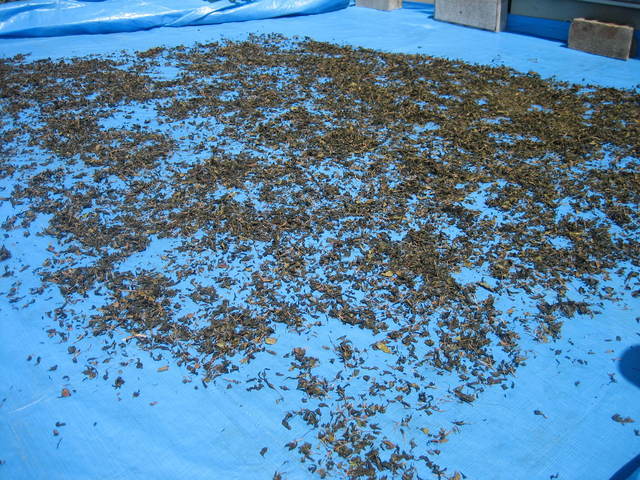 ����Ȃ��ƁE����Ȃ���