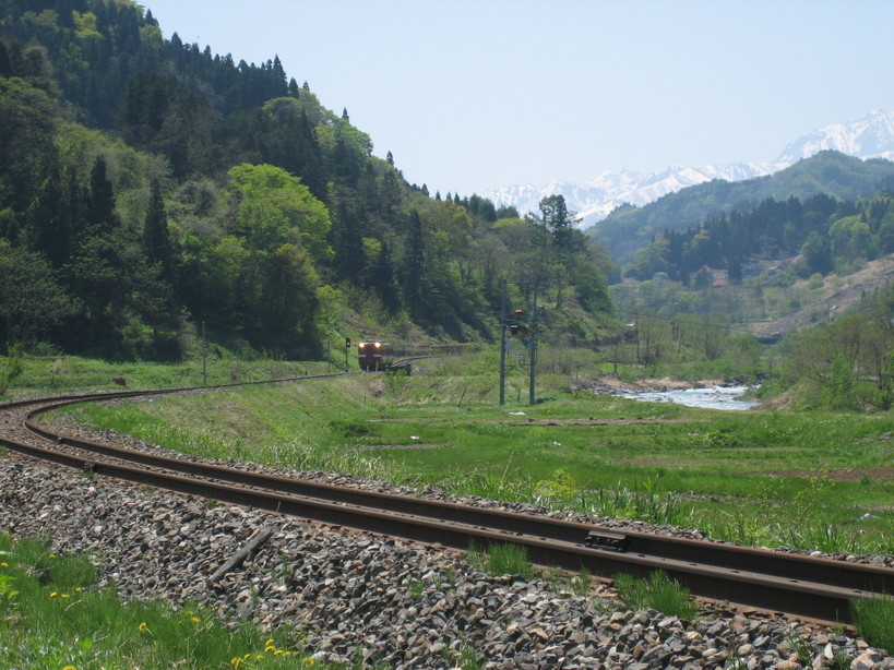 ����Ȃ��ƁE����Ȃ���