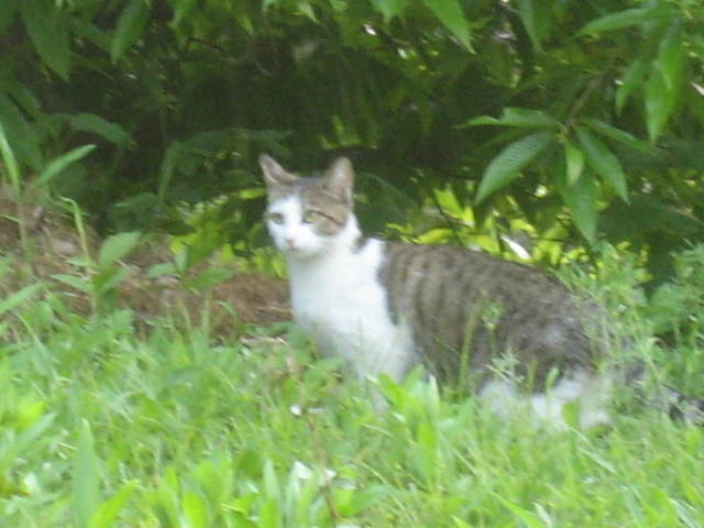 ����Ȃ��ƁE����Ȃ���