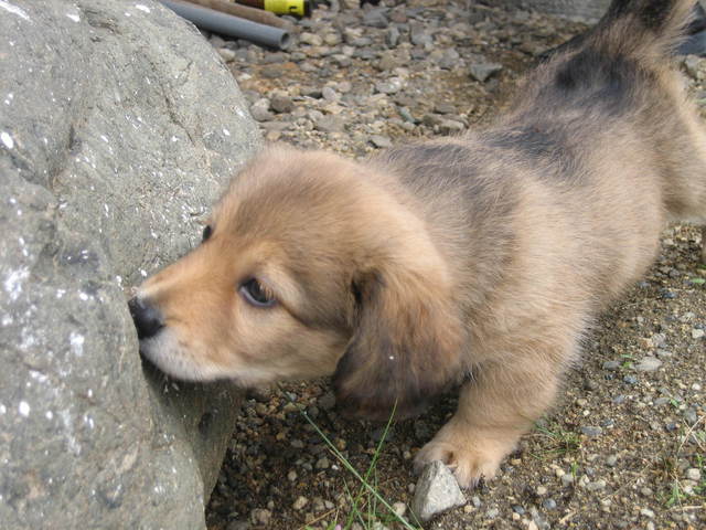 ����Ȃ��ƁE����Ȃ���