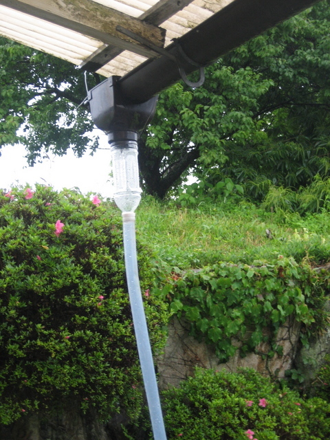 ����Ȃ��ƁE����Ȃ���