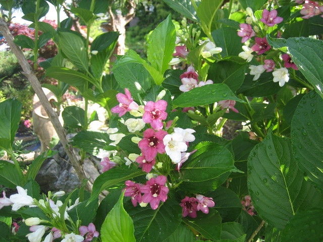 ����Ȃ��ƁE����Ȃ���