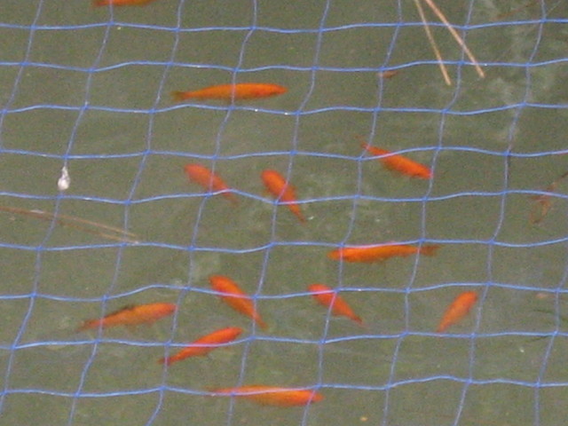 ����Ȃ��ƁE����Ȃ���