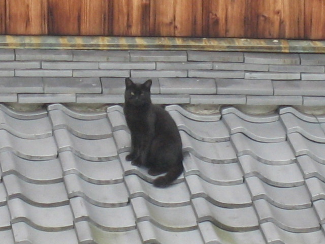 ����Ȃ��ƁE����Ȃ���