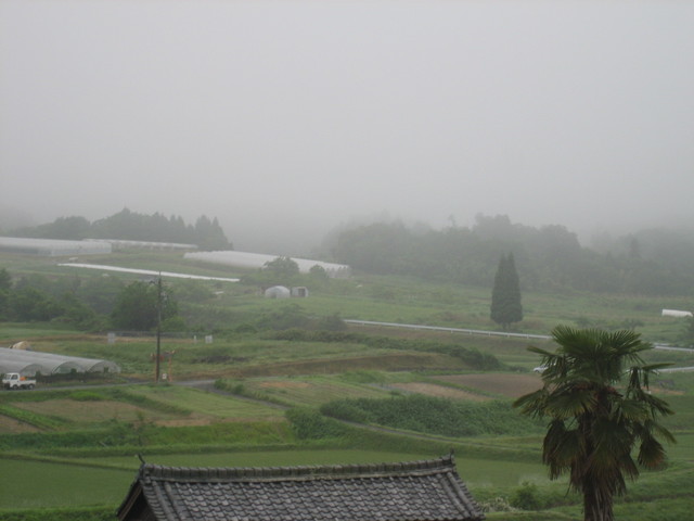 ����Ȃ��ƁE����Ȃ���