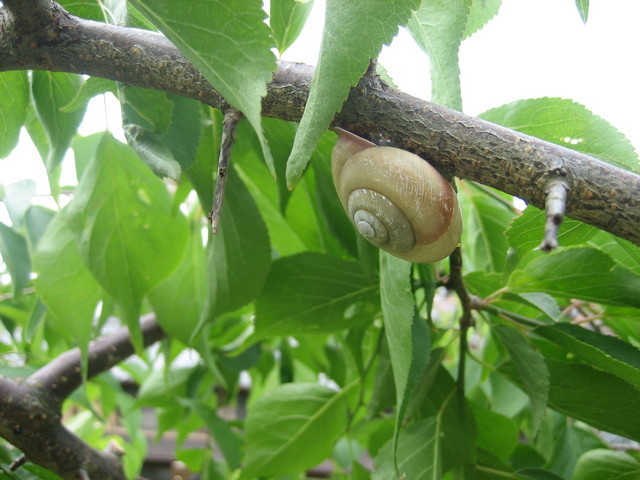 ����Ȃ��ƁE����Ȃ���