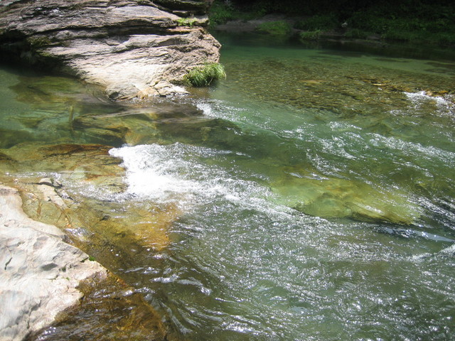 ����Ȃ��ƁE����Ȃ���