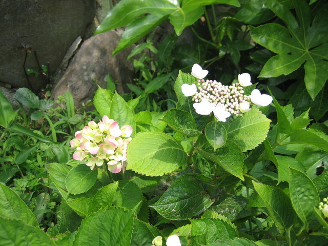 ����Ȃ��ƁE����Ȃ���