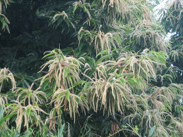 ����Ȃ��ƁE����Ȃ���