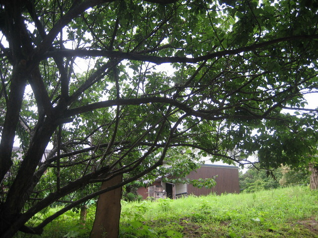 ����Ȃ��ƁE����Ȃ���