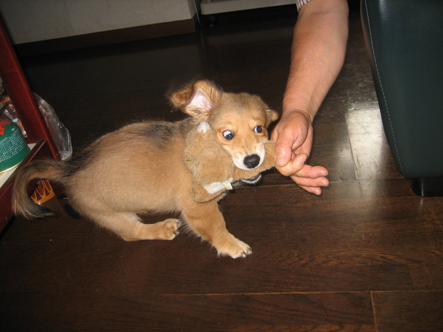 ����Ȃ��ƁE����Ȃ���