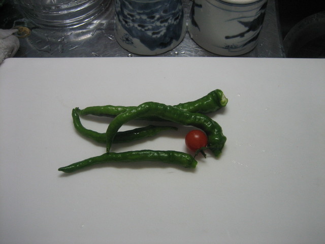 ����Ȃ��ƁE����Ȃ���