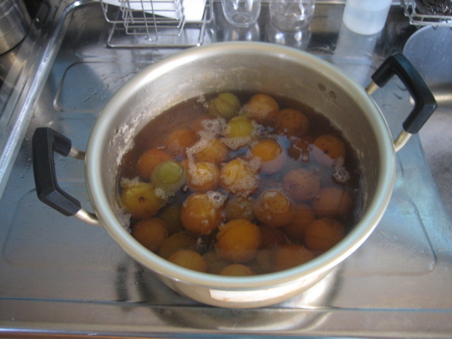 ����Ȃ��ƁE����Ȃ���