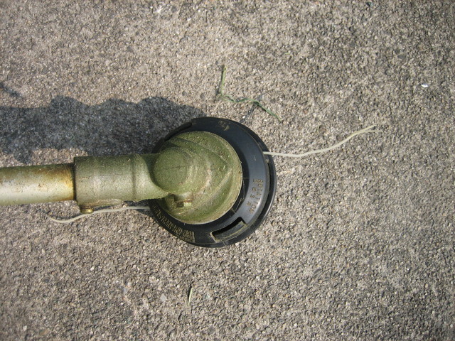 ����Ȃ��ƁE����Ȃ���