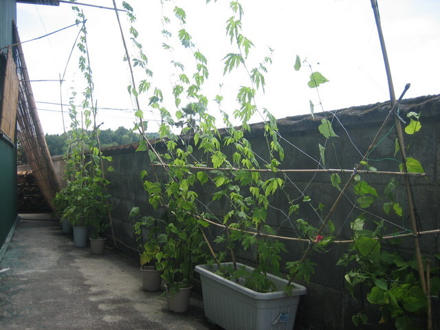 ����Ȃ��ƁE����Ȃ���