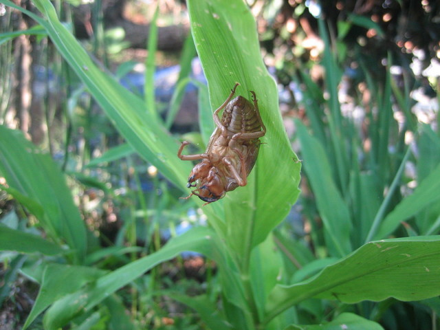 ����Ȃ��ƁE����Ȃ���