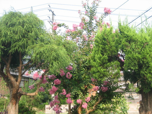 ����Ȃ��ƁE����Ȃ���