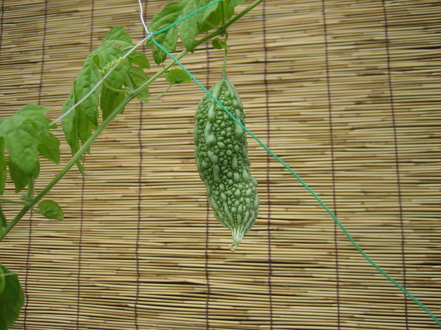 ����Ȃ��ƁE����Ȃ���