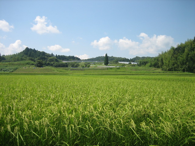 ����Ȃ��ƁE����Ȃ���