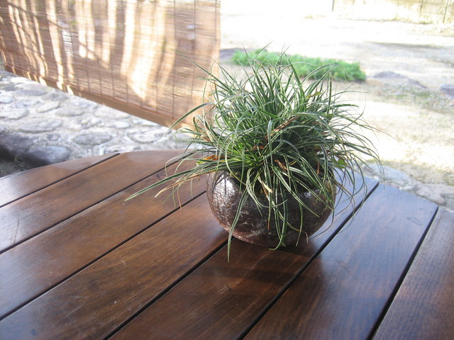 ����Ȃ��ƁE����Ȃ���